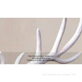 /msite/products/detail/productid/57972928/id/651323.html